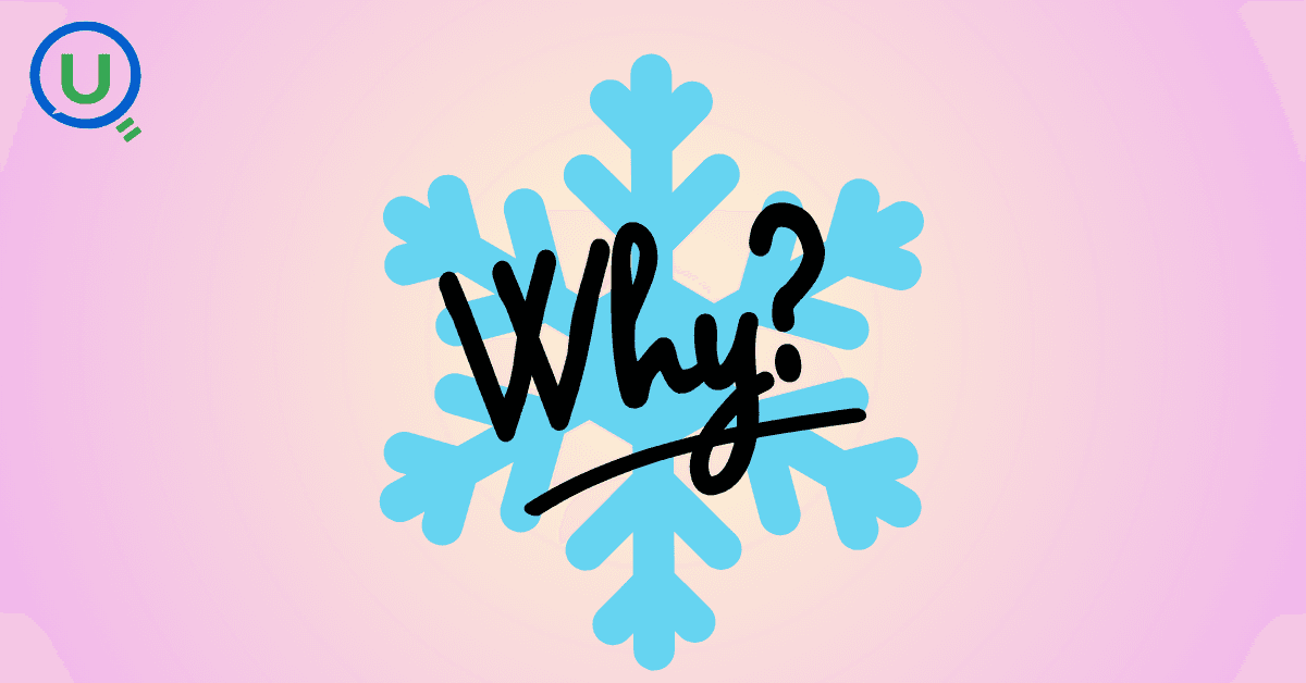 But Why Snowflake? blog cover image